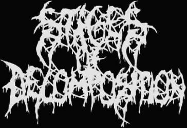 logo Stages Of Decomposition